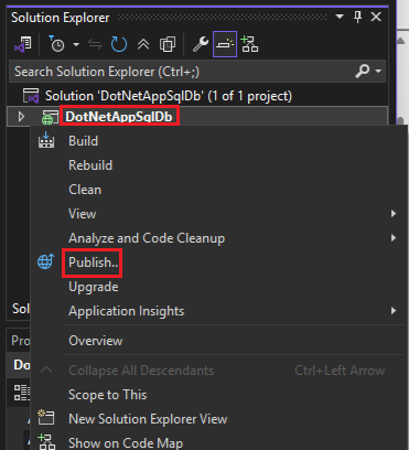 Screenshot of selecting Publish from Solution Explorer.