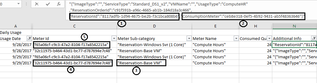 Screenshot of daily usage details and charges.