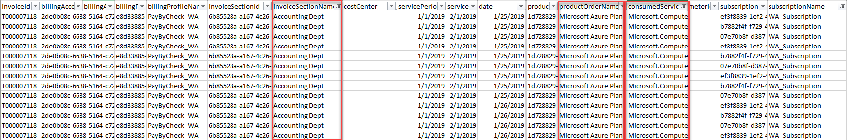 Screenshot showing the usage and charges file filtered by invoice section.