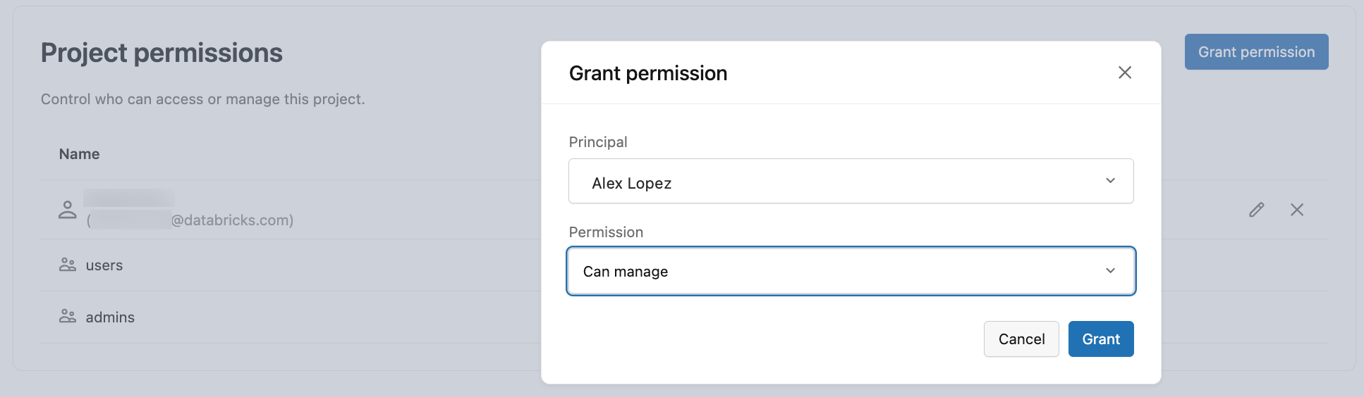 Grant project permission