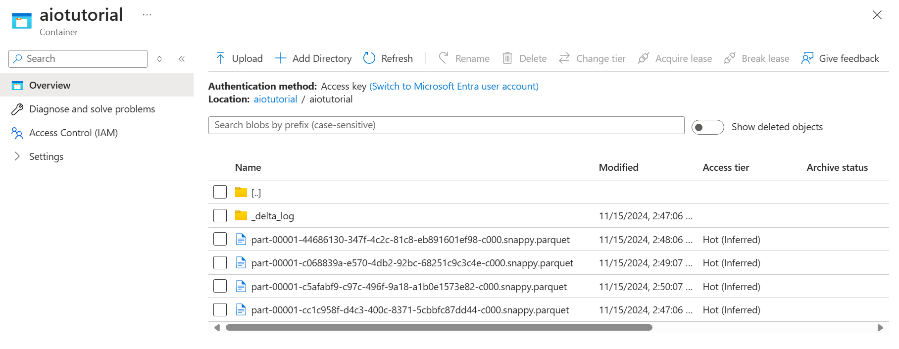 Screenshot of Azure portal showing the files in the container.