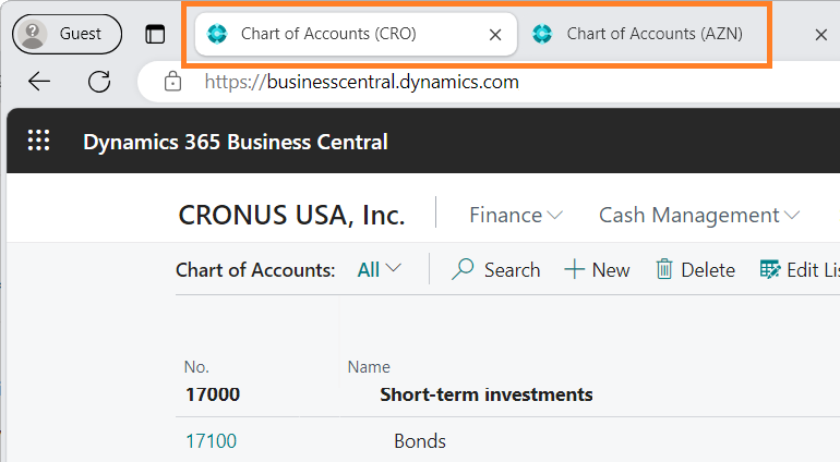 Multiple browser tabs displaying the company badge in the tab title. Multiple browser tabs displaying the company badge in the tab title.