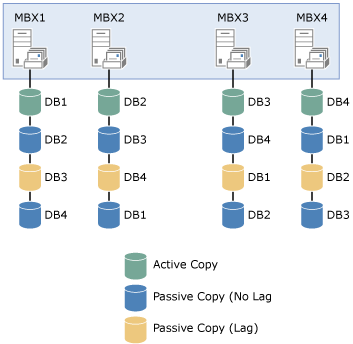 Database Copy Layout for Contoso, Ltd.