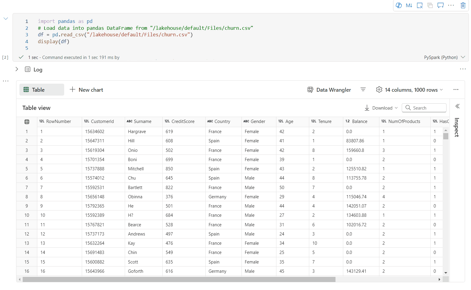 Animated GIF of rich dataframe preview.