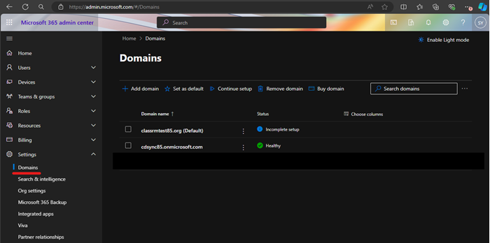 Screenshot showing Domains for organization.
