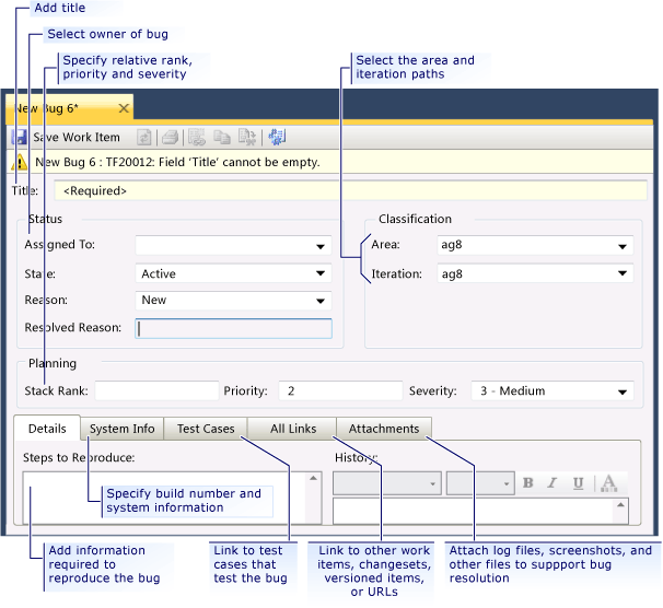 Work Item Form for Bug