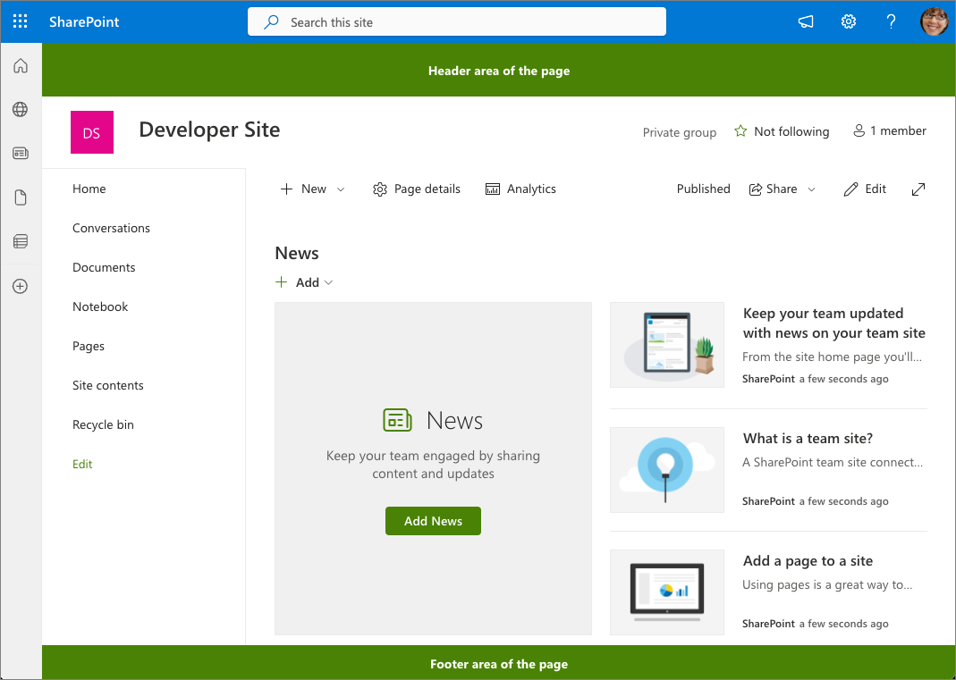 Screenshot of application customizer placeholders.