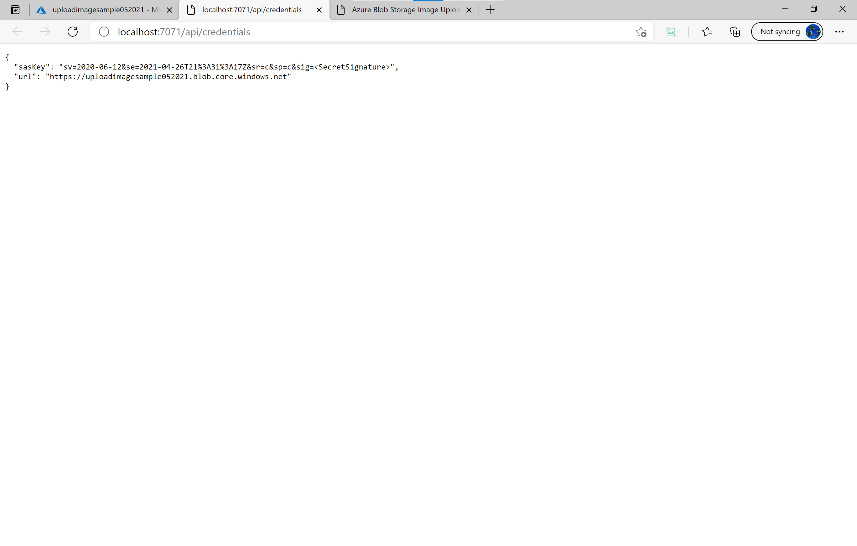Screenshot of the API result in the browser window.