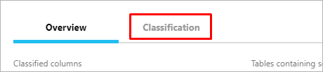 Screenshot of the Classification tab.