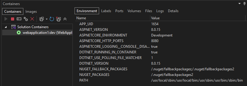 Screenshot of the Containers window in Visual Studio with a container selected in the left pane, and the Environment tab selected in the right pane.