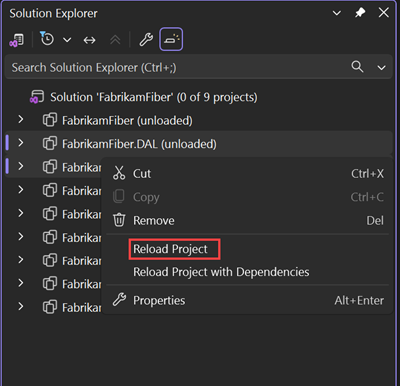 Screenshot of the Reload Project option.