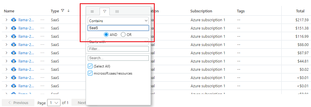 Una screenshot di come filtrare in base al tipo di risorsa contenente la stringa 'SaaS'.