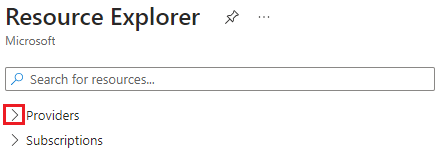 Screenshot dell'espansione della sezione Provider in Esplora risorse.
