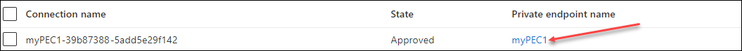 Screenshot del portale di Azure, nel riquadro delle connessioni endpoint privati è evidenziato il nome dell'endpoint privato.