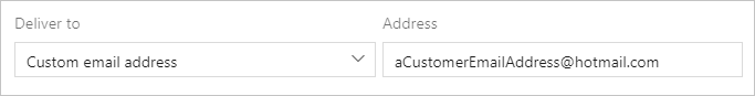 Screenshot che mostra le opzioni di recapito personalizzate del team di posta elettronica.