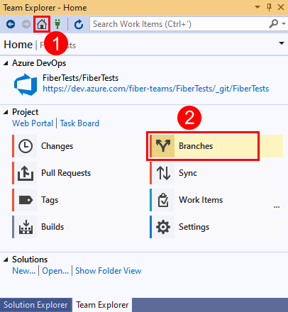 Screenshot dell'opzione Branches in Team Explorer in Visual Studio 2019.