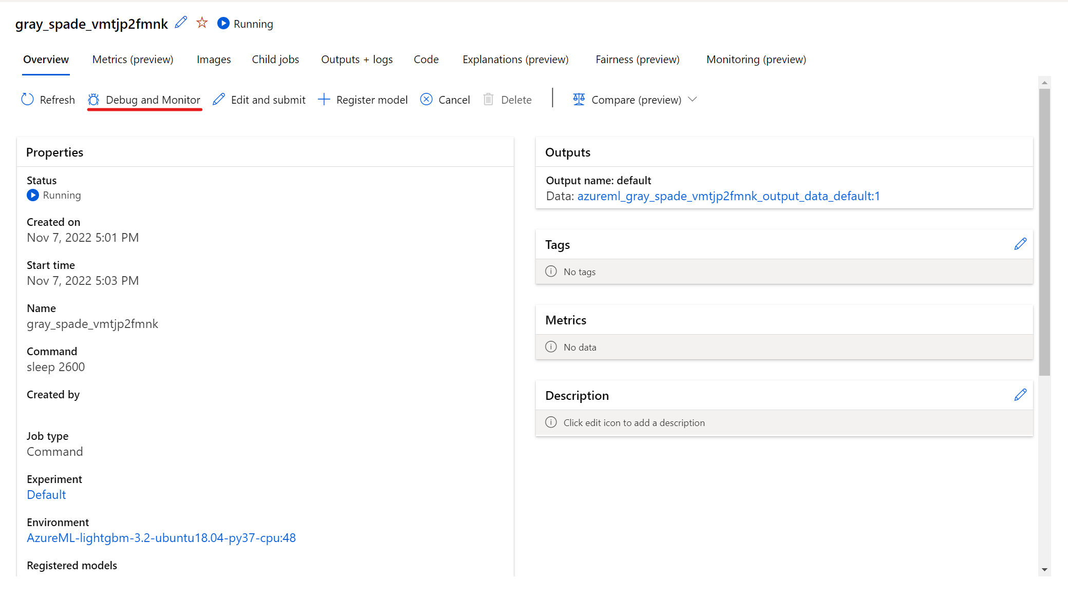 Screenshot che mostra la posizione del pannello di debug e monitoraggio dei processi interattivi.
