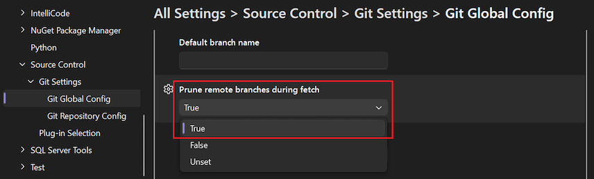 Screenshot che mostra l'opzione 'Prune remote branches during fetch' con 'Vero' selezionato nell'elenco a discesa.