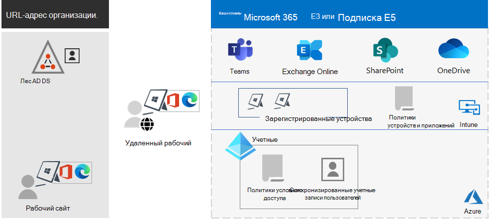 Крупная организация с Microsoft 365, устройствами Surface и браузером Microsoft Edge.