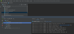 Снимок экрана: пример запуска контейнера в PyCharm.