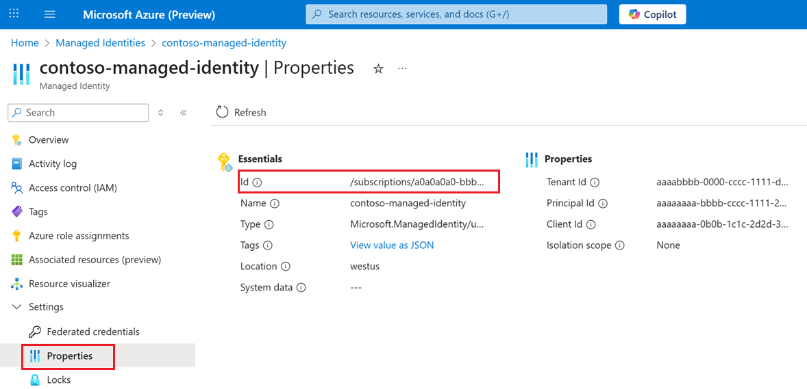 Снимок экрана: расположение идентификатора ресурса.