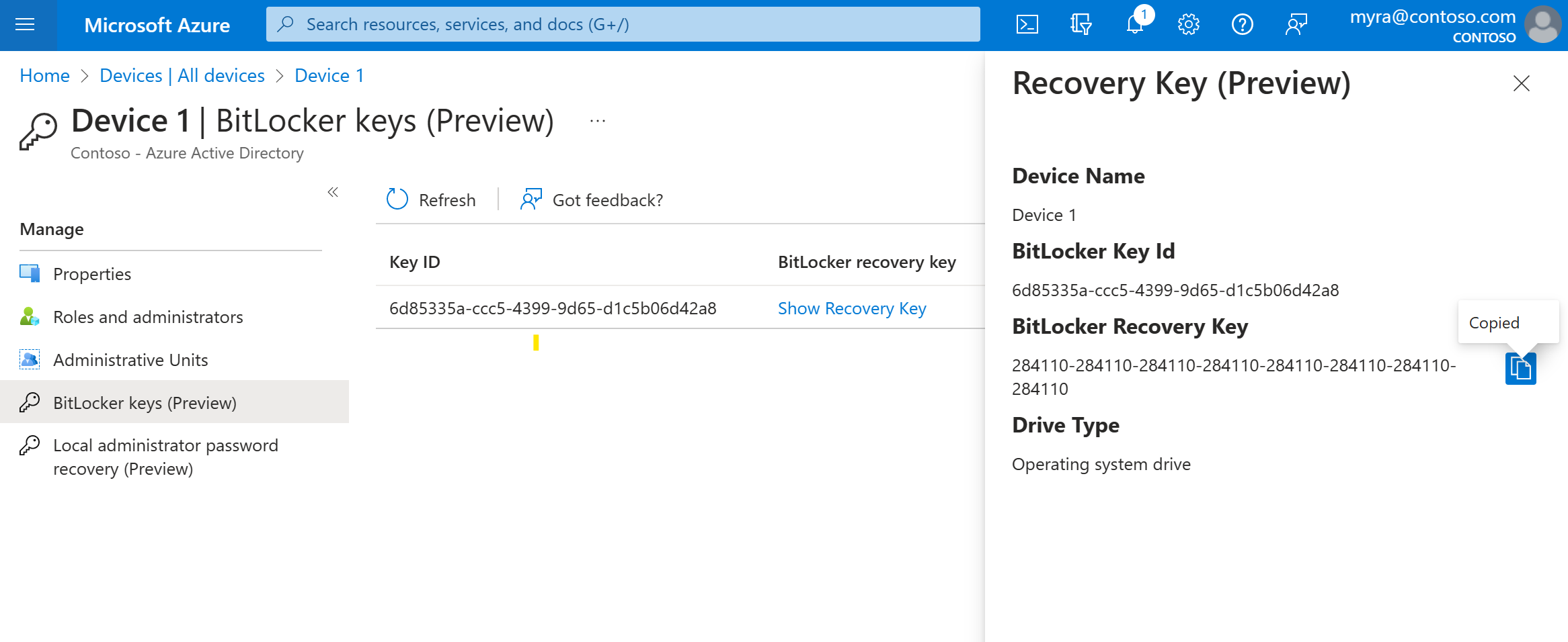 Снимок экрана с инструкциями по просмотру ключей BitLocker.