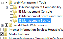 Снимок экрана, на котором показана служба управления I IS, выбранная для Windows 8.