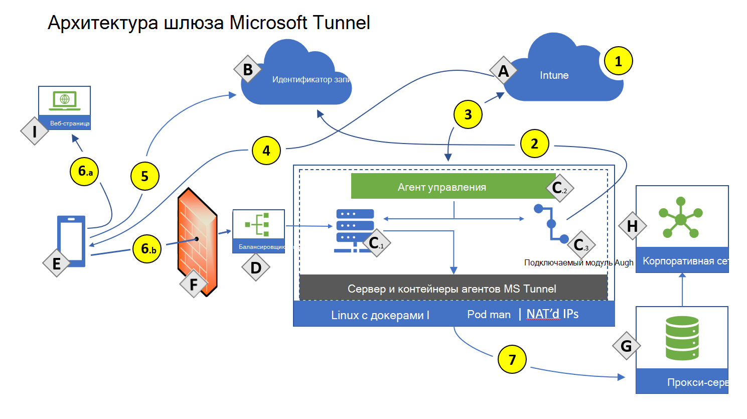 На рисунке показана архитектура шлюза Microsoft Tunnel