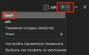 Снимок экрана Visual Studio Code, показывающий расположение оболочки Bash.