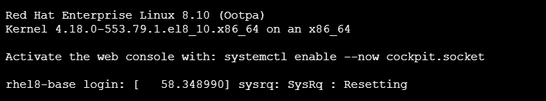 Снимок экрана: журнал сообщений сброса в интерфейсе командной строки.