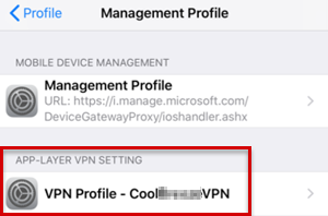 Снимок экрана: профиль VPN указан в профиле управления.